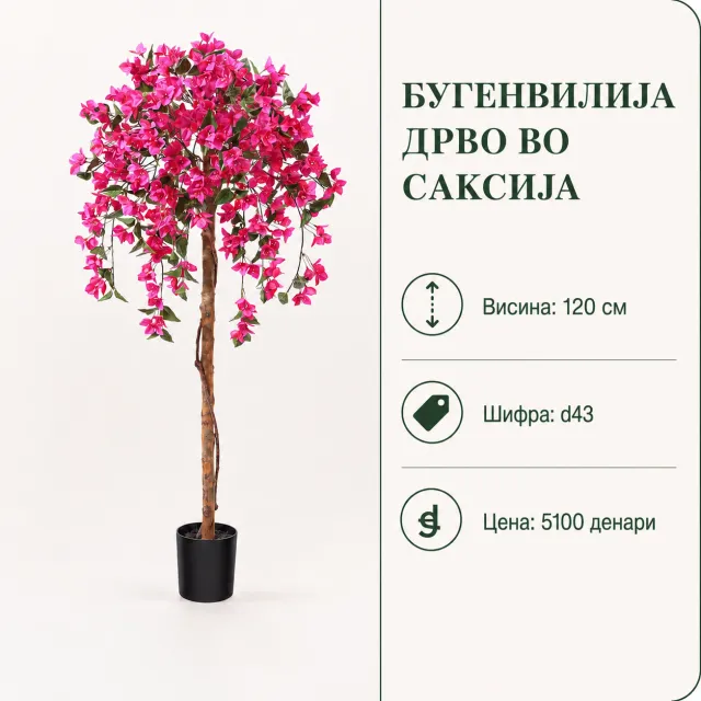 imgmmj7t3judj733GIxEyU