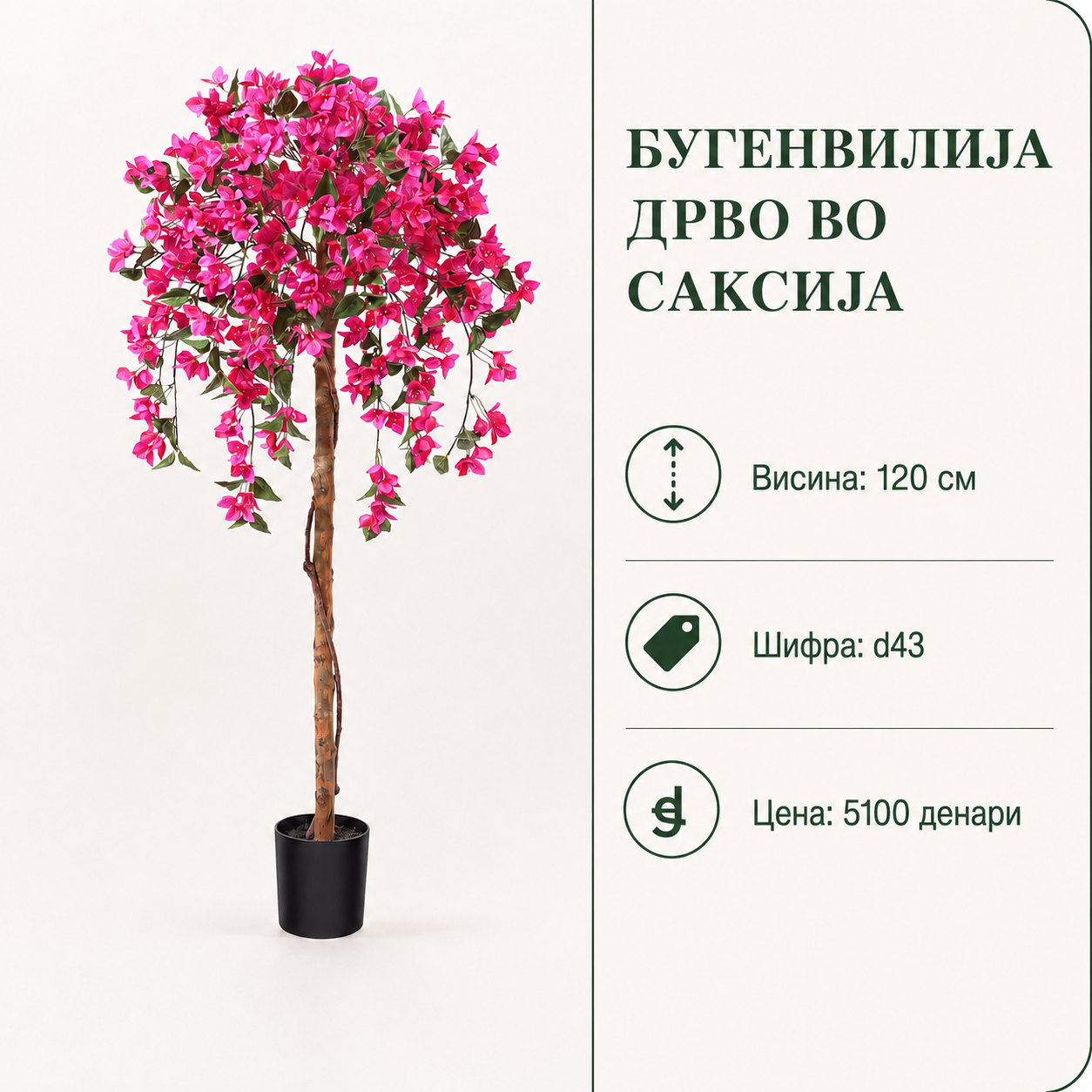 imgmmj7t3judj733GIxEyU