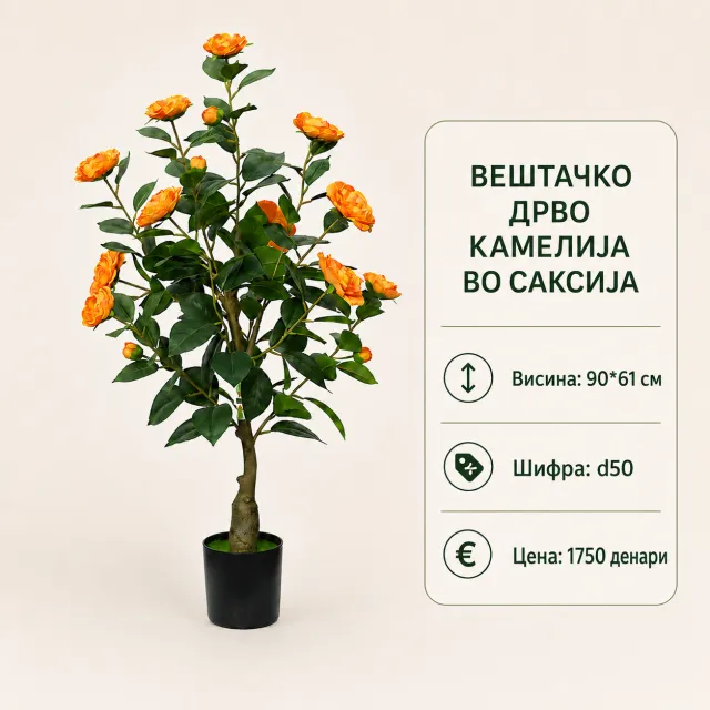 imguo9jo3rf86cebEF74fG