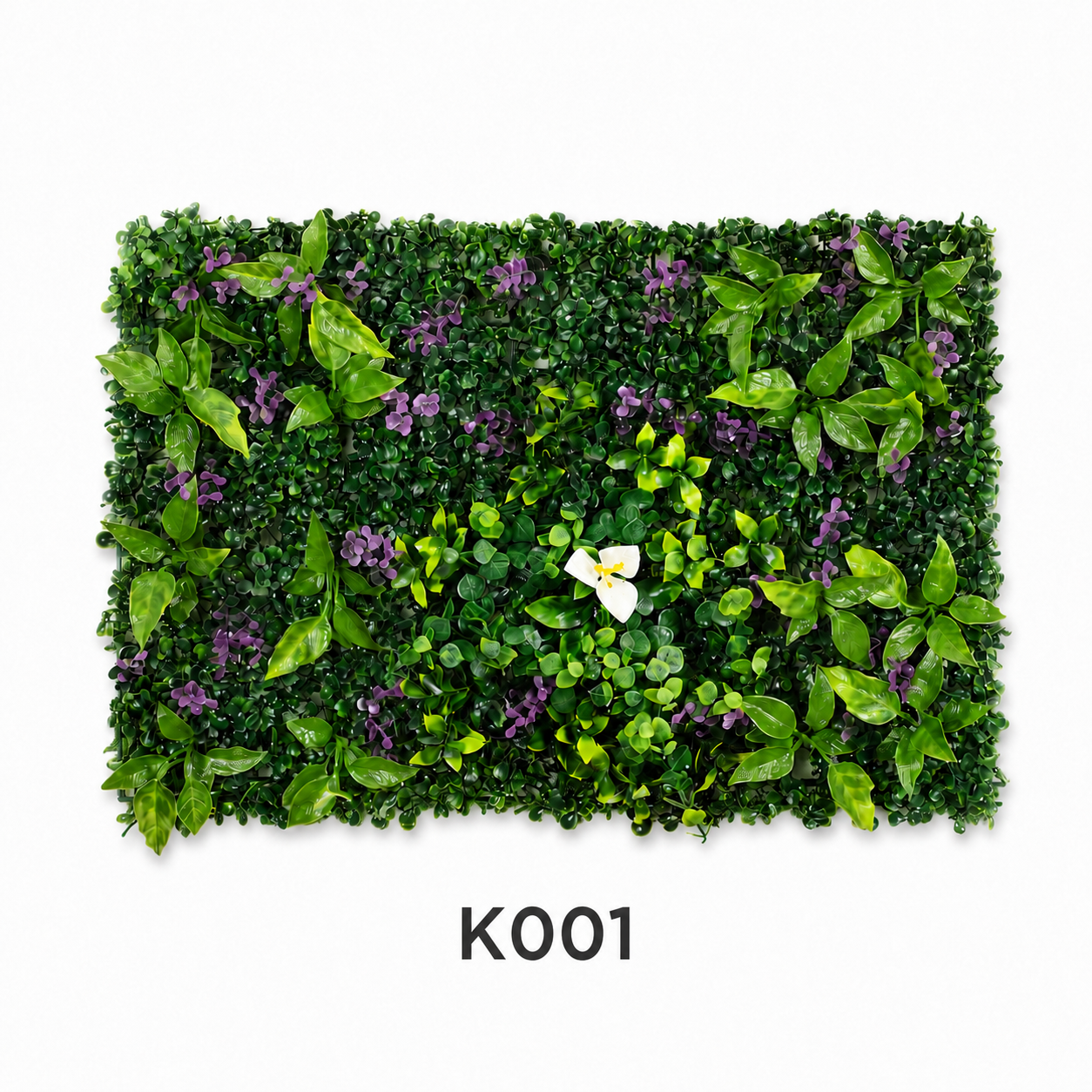imgt14vb019iigl9o5XpjJ