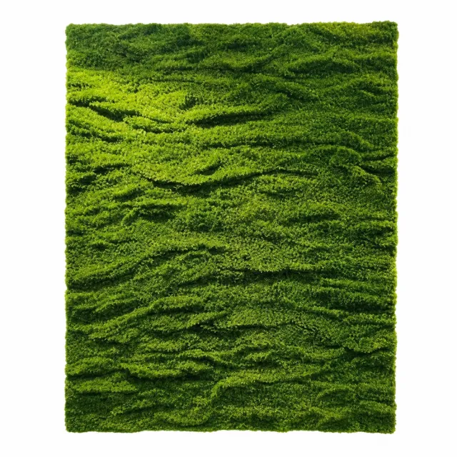 imgt82uc49197addg8Fceq