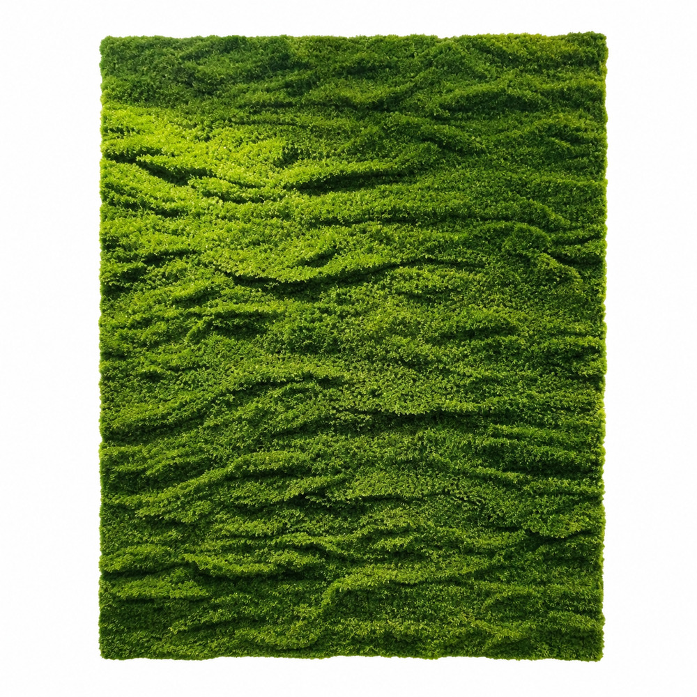 imgt82uc49197addg8Fceq